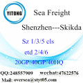 Trasporto merci del porto di Shenzhen del porto a Skikda